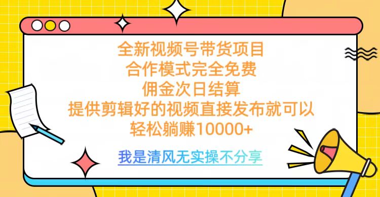全网最新视频号带货，完全免费合作，佣金次日结算，轻松躺赚10000+-宁率网络知识库