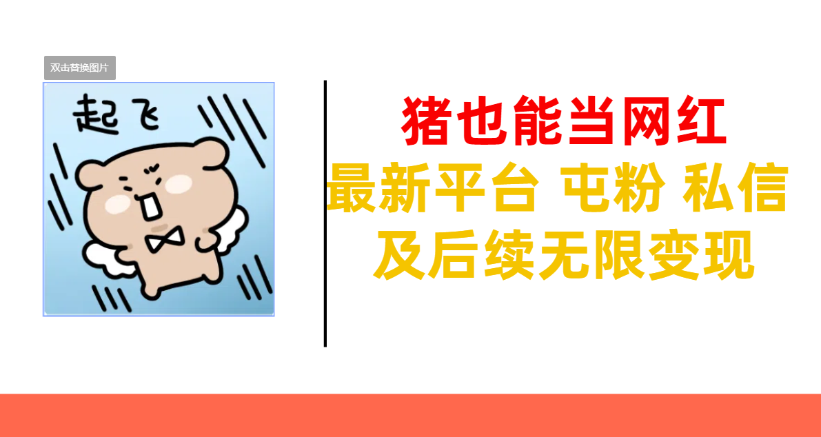 猪也能当网红-最新平台 屯粉 交流 私信 及后续无限变现-宁率网络知识库
