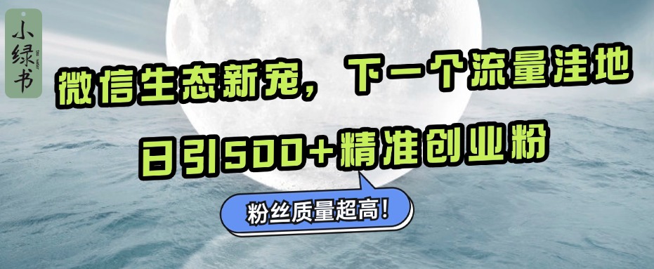 微信生态新宠小绿书：下一个流量洼地，粉丝质量超高，日引500+精准创业粉，-宁率网络知识库