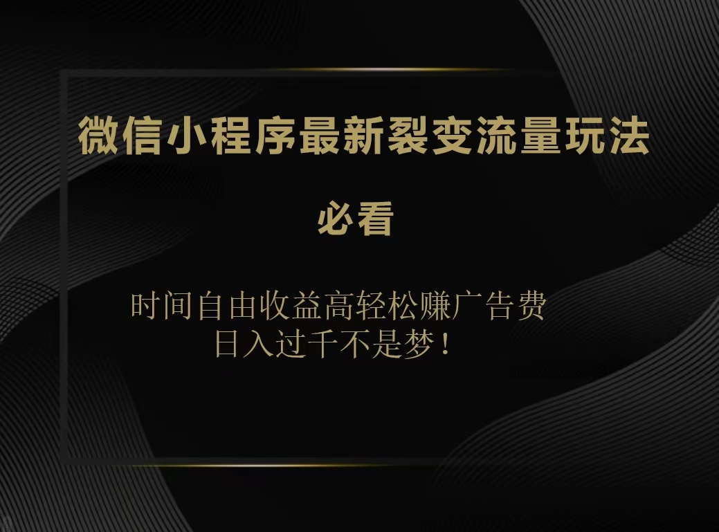 微信小程序最新裂变流量玩法，时间自由收益高轻松赚广告费，日入200-500+-宁率网络知识库