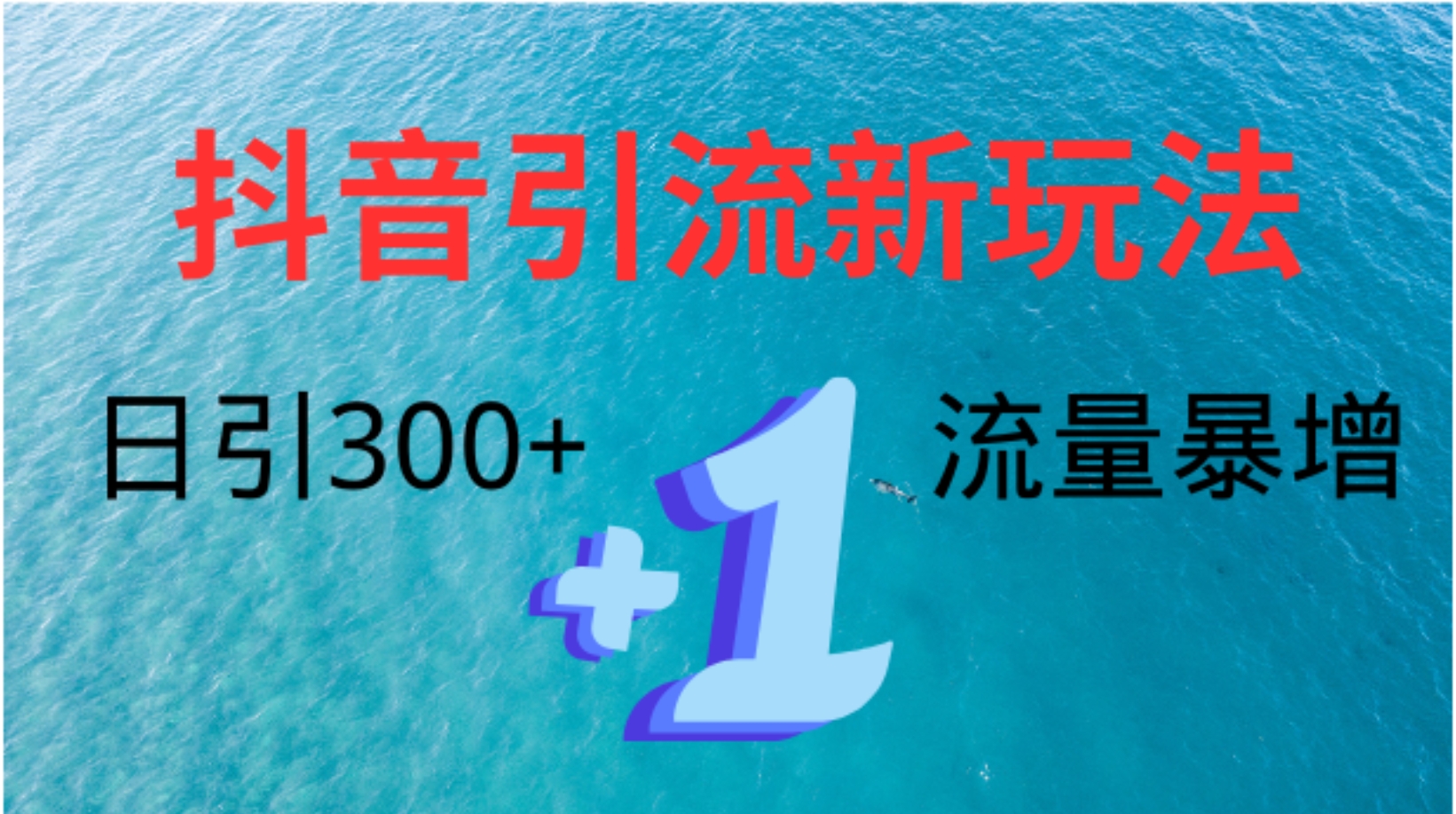 创业粉高效引流，抖音工具号玩法4.0，日引300+-宁率网络知识库