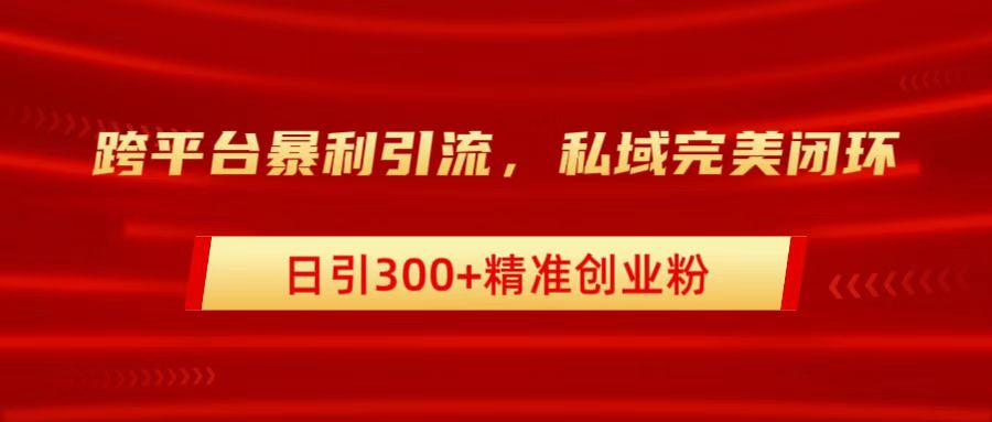 跨平台暴力引流，私域完美闭环，日引300+精准创业粉-宁率网络知识库