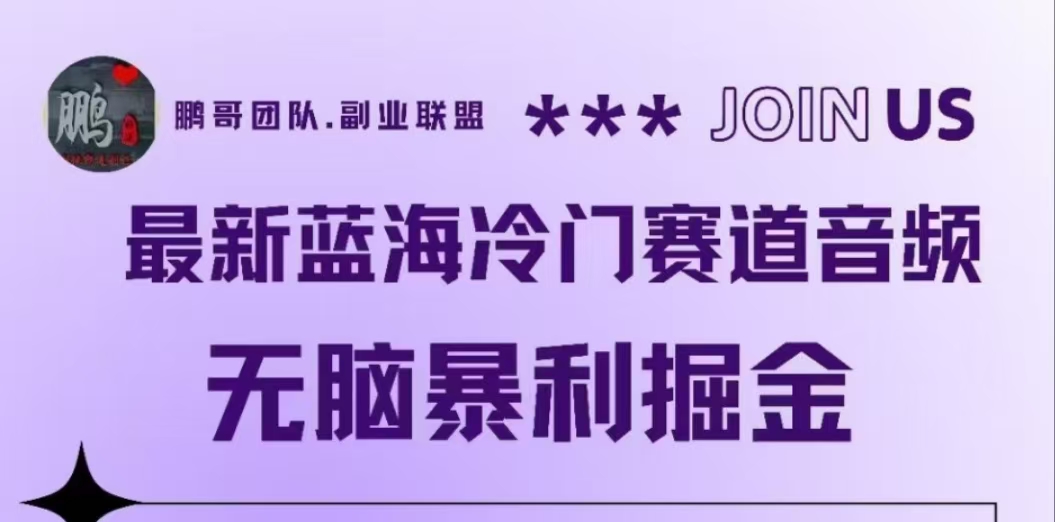 最新蓝海冷门赛道音频，无脑暴利掘金-宁率网络知识库