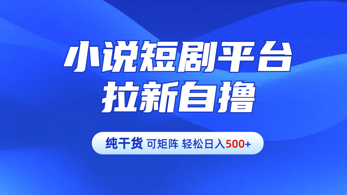 【纯干货】小说短剧平台拉新自撸玩法详解-单人轻松日入500+-宁率网络知识库