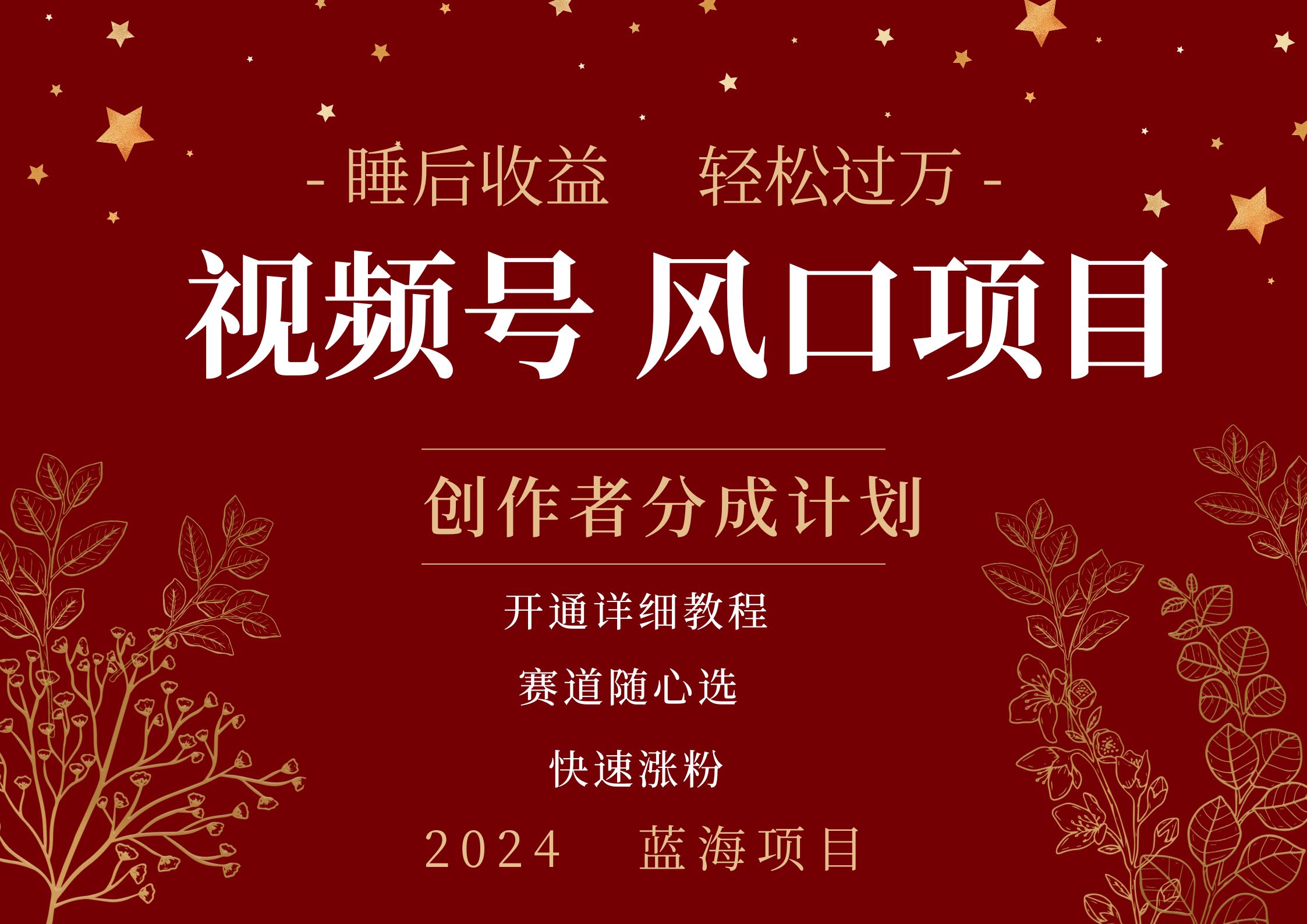 拥有睡眠收益的微信视频号大风口项目，轻松月入过万+，多赛道选择，可矩阵，玩法简单轻松上手-宁率网络知识库