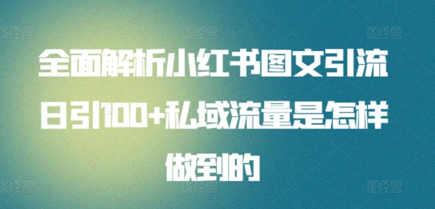 日引流100私域流量小红书图文是怎样做到的全面解析-宁率网络知识库