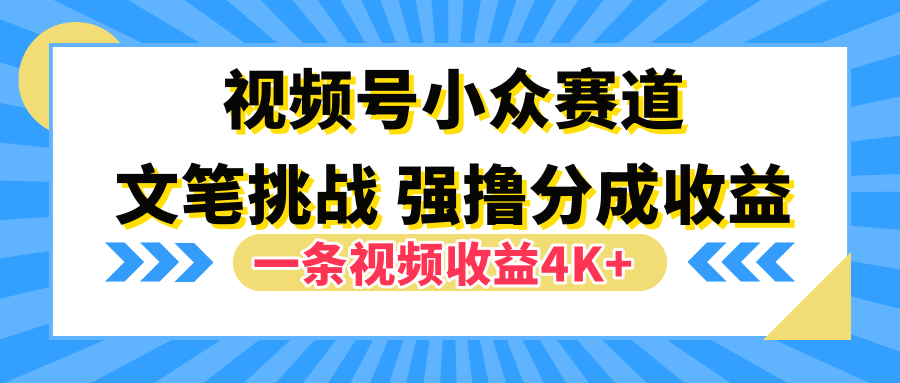 视频号小众赛道，文笔挑战，一条视频收益4K+-宁率网络知识库