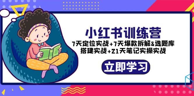 小红书训练营：7天定位实战+7天爆款拆解+选题库搭建实战+21天笔记实操实战-宁率网络知识库