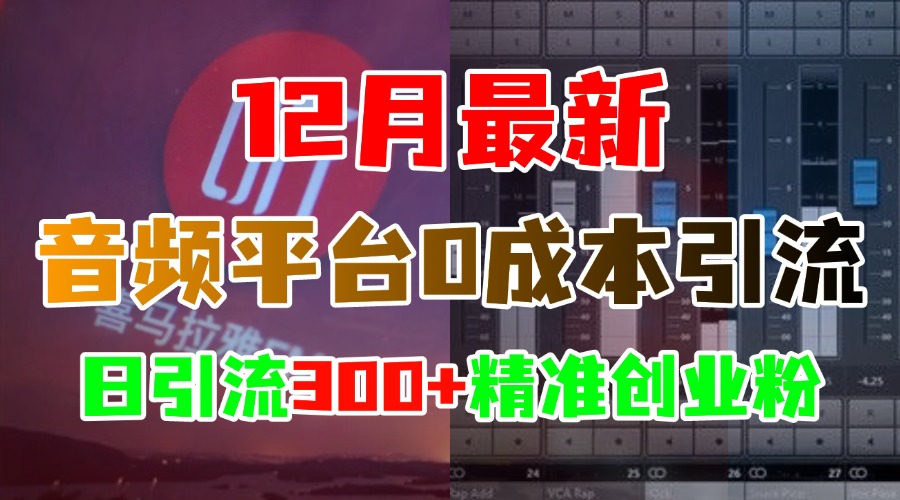 12月最新：音频平台0成本引流，日引300+精准创业粉-宁率网络知识库