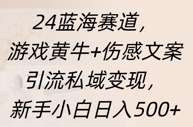 24蓝海赛道，游戏黄牛+伤感文案引流私域变现，新手日入500+-宁率网络知识库