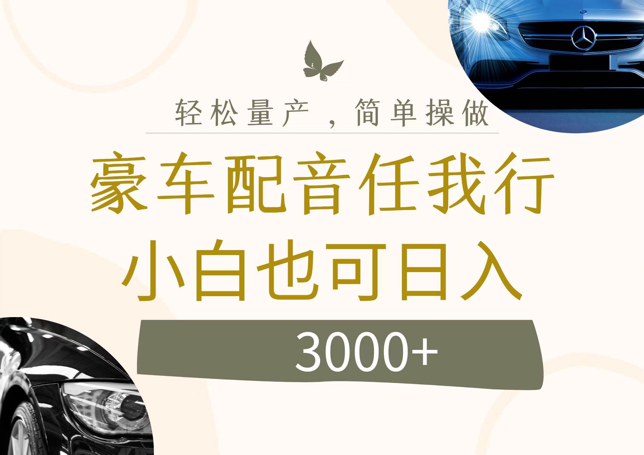 不为人知的暴力小项目，豪车配音，日入3000+-宁率网络知识库