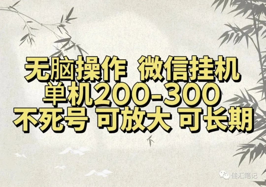 无脑操作微信视频号挂机单机200-300一天，不死号，可放大，工作室实测-宁率网络知识库