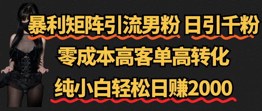 暴利矩阵引流男粉（日引千粉），零成本高客单高转化，纯小白轻松日赚2000+-宁率网络知识库