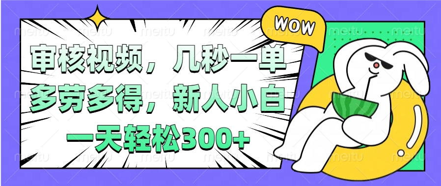 视频审核项目，几秒一单，多劳多得，新人小白一天轻松300+-宁率网络知识库