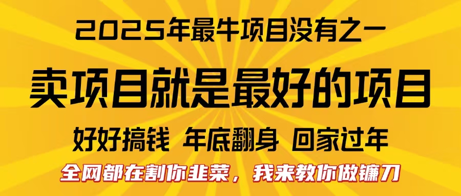 全网都在割你韭菜，我来教你做镰刀。卖项目就是最好的项目，2025年最牛互联网项目-宁率网络知识库