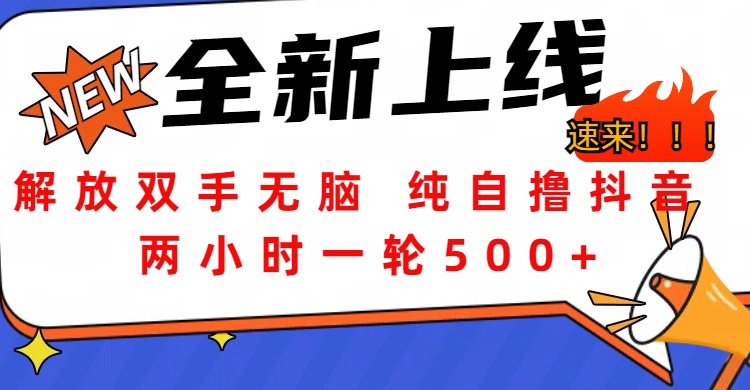 解放双手无脑 纯自撸抖音 两小时一轮500+-宁率网络知识库