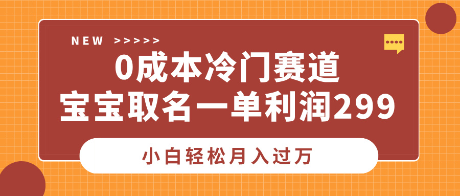 0成本冷门赛道，宝宝取名一单利润299，小白轻松月入过万-宁率网络知识库