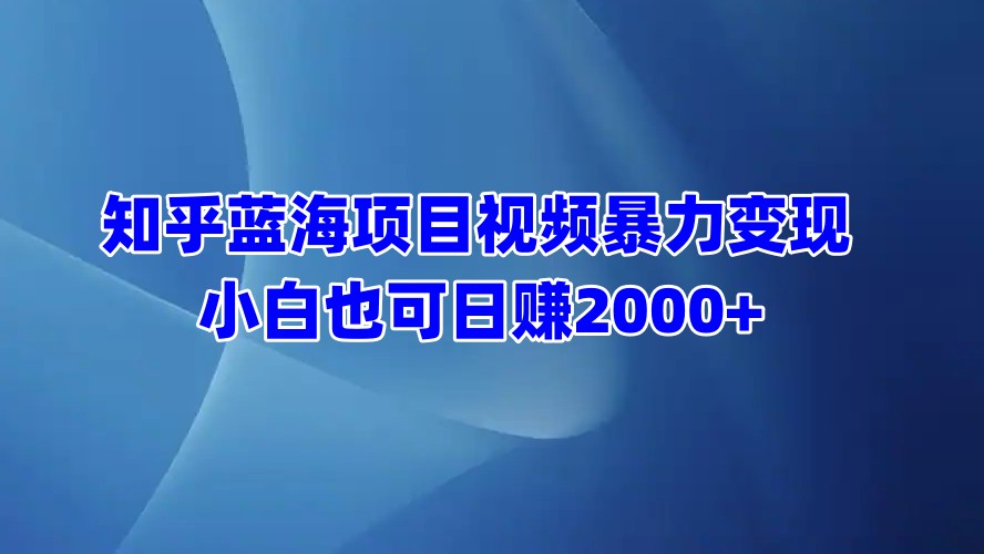 知乎蓝海项目视频暴力变现  小白也可日赚2000+-宁率网络知识库