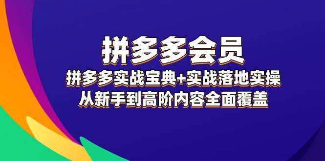 拼多多 会员，拼多多实战宝典+实战落地实操，从新手到高阶内容全面覆盖-宁率网络知识库