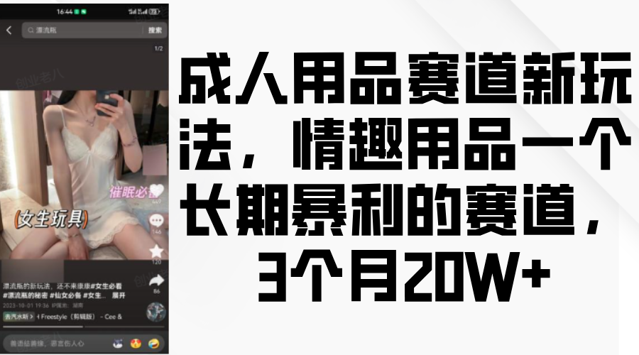 情趣用品一个长期暴利的赛道，成人用品赛道新玩法，3个月20W+-宁率网络知识库