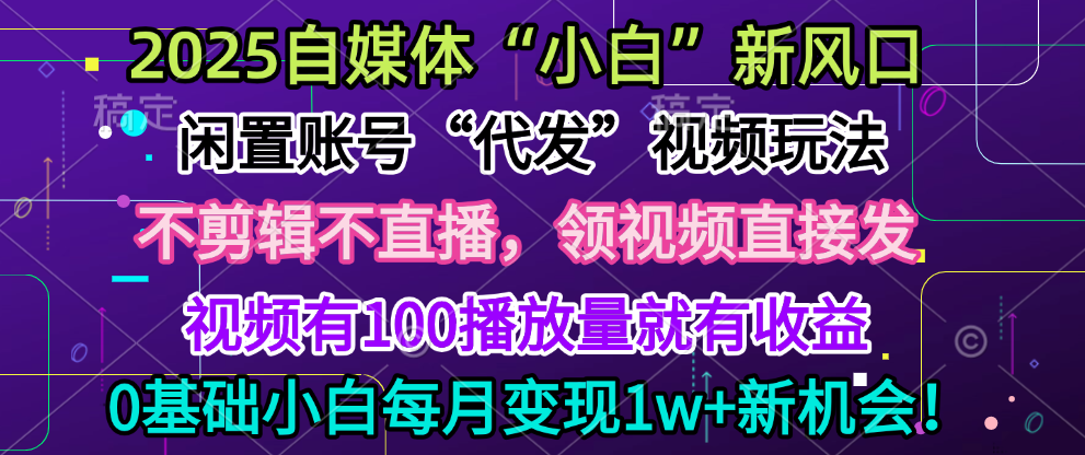 2025每月躺赚5w+新机会，闲置视频账号一键代发玩法，0粉不实名不剪辑，领了视频直接发，0基础小白也能日入300+-宁率网络知识库