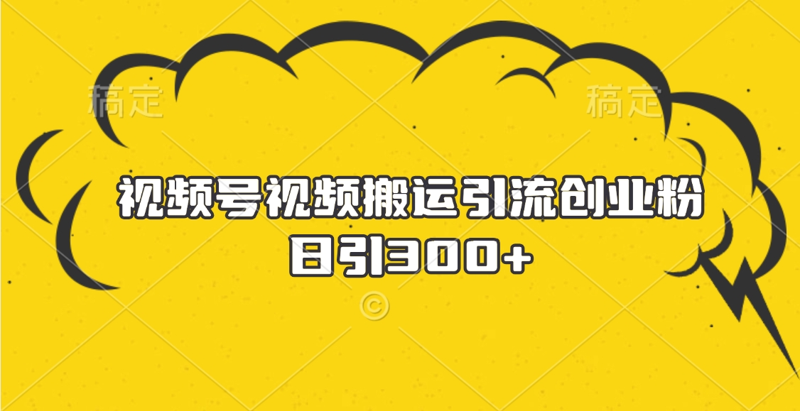 视频号视频搬运引流创业粉，日引300+-宁率网络知识库