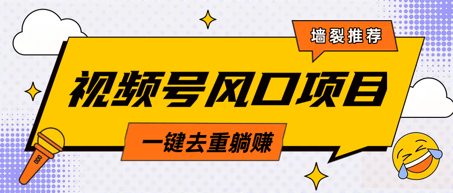 视频号风口蓝海项目，中老年人的流量密码，简单无脑，一键去重，轻松月入过万-宁率网络知识库