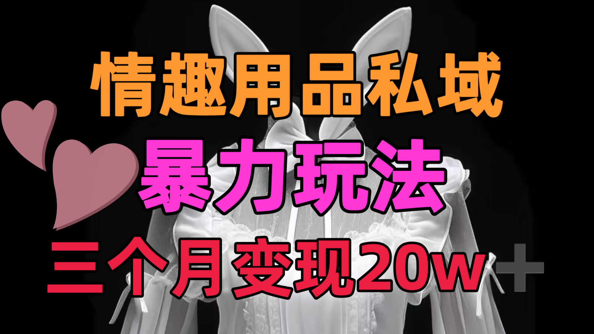 情趣用品私域，25年最新暴力玩法，三个月变现20w➕-宁率网络知识库