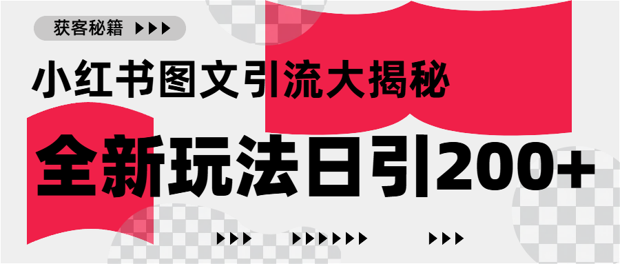 小红书图文引流，只需一张图片即可撬动百万流量，日引200+创业粉-宁率网络知识库