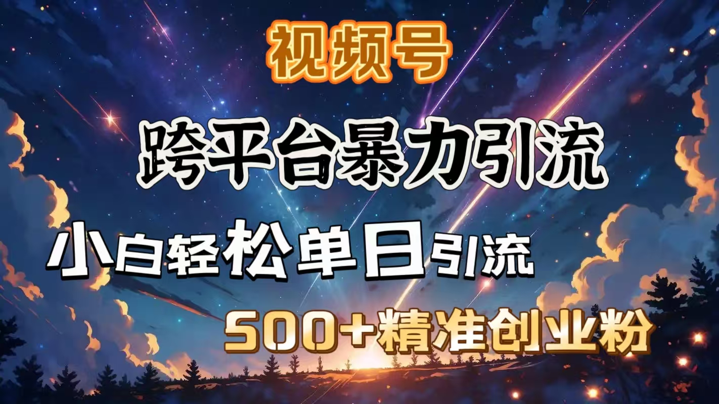 视频号跨平台暴力引流，小白轻松单日引流500＋精准创业粉-宁率网络知识库