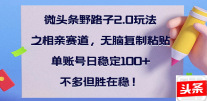 全网首发微头条野路子2.0玩法之相亲赛道，无脑搬砖复制粘贴，单账号日稳定300+保姆级教程-宁率网络知识库