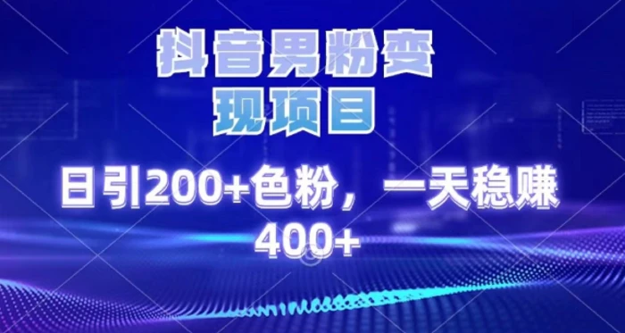 2025最新男粉项目 日引200 轻松月入2w+-宁率网络知识库