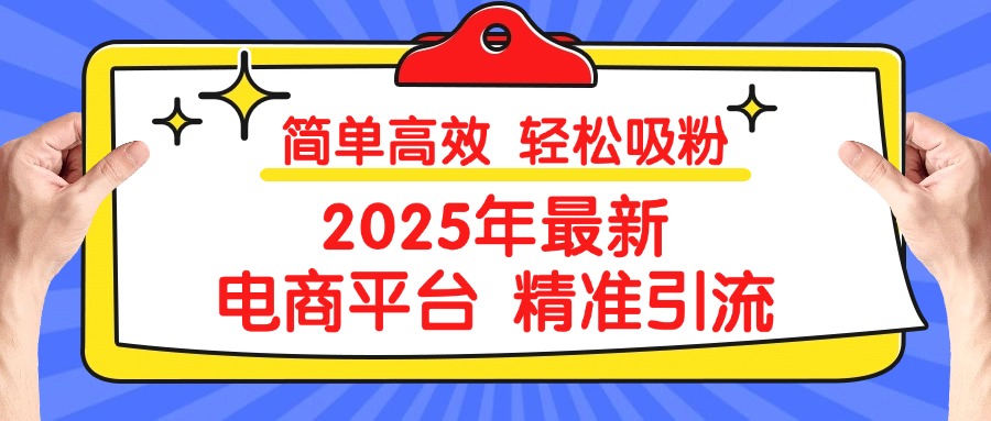 2025年最新电商平台精准引流 简单高效 轻松吸粉-宁率网络知识库