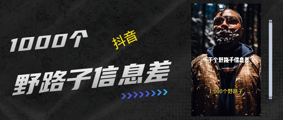 抖音一千个野路子信息差最新玩法教程引流＋变现的玩法具体拆解-宁率网络知识库