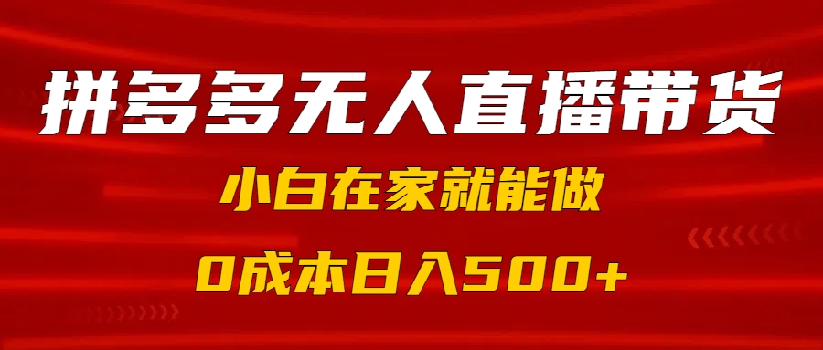 拼多多无人直播带货，小白在家就能做，0成本日入500+-宁率网络知识库