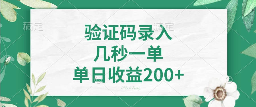 验证码录入，几秒一单，单日收益200+-宁率网络知识库