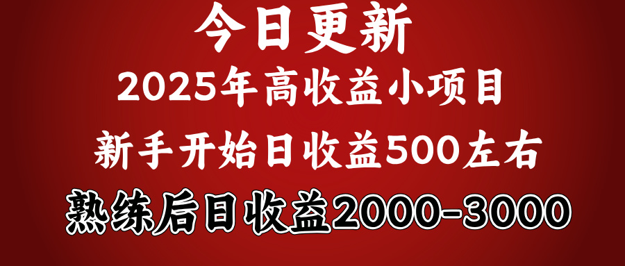 好项目一眼就能看出来，日收益1000，长久可做，2025拼的就是我比你勤奋-宁率网络知识库