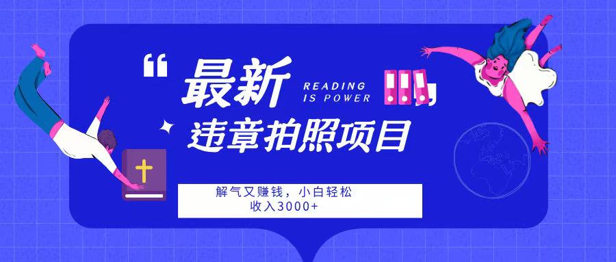 最新违章拍照项目，解气又赚钱，随手一拍，轻松收入3000-宁率网络知识库