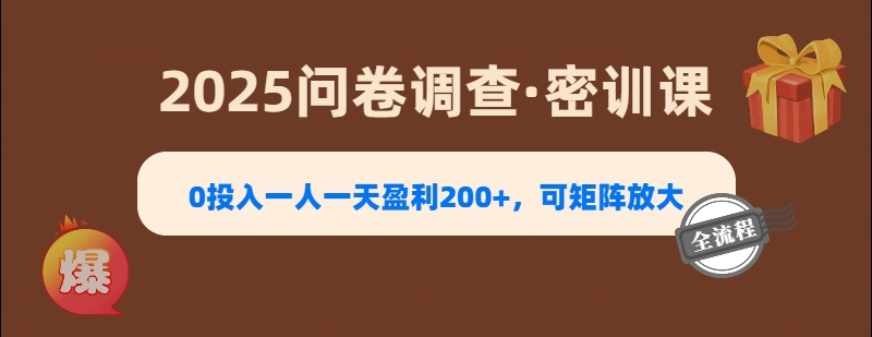2025《问卷调查》0投入一人一天盈利200+，可矩阵放大-宁率网络知识库