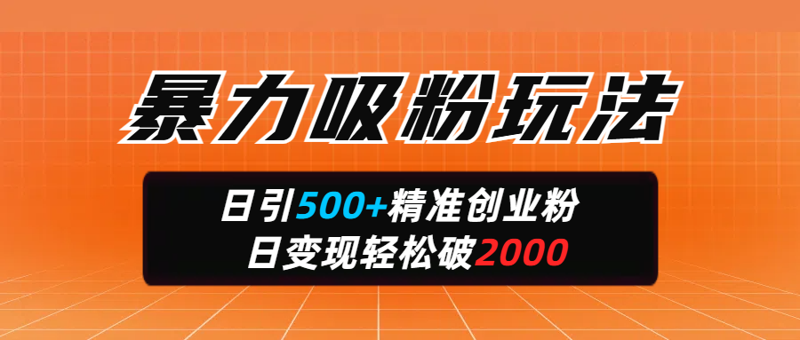 暴力吸粉玩法，日引500+精准创业粉，日变现轻松破2000-宁率网络知识库