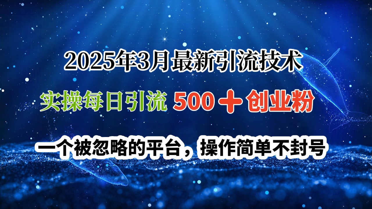 2025年3月最新引流技术，实操每日引流500➕创业粉，一个被忽略的平台，操作简单不封号-宁率网络知识库