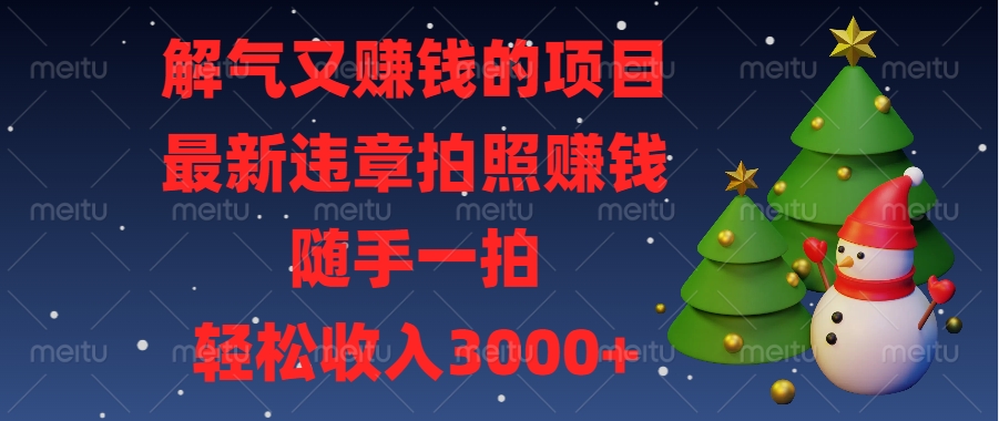 解气又赚钱的项目，最新违章拍照赚钱，随手一拍，轻松收入3000+-宁率网络知识库