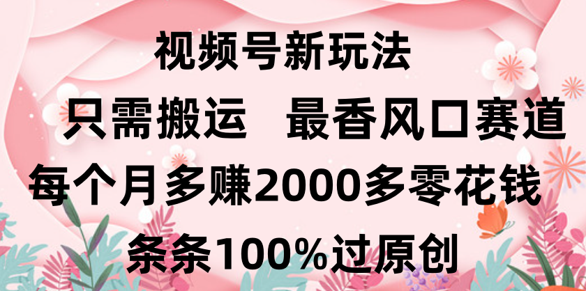 日入2000+，条条100%过原创，视频号最香风口赛道，小白轻松上手-宁率网络知识库