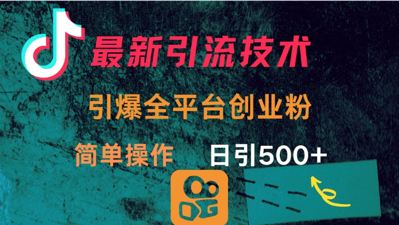 最新引流方法，引爆全平台创业粉操作简单，日引300＋-宁率网络知识库