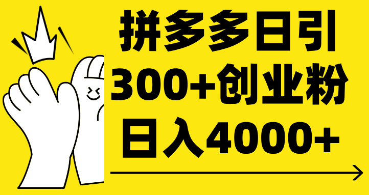 拼多多日引300+创业粉 日入4000+-宁率网络知识库