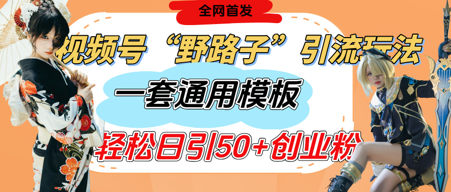 视频号“野路子”玩法，评论区疯狂截流，一套模板单日单号引流50+创业粉-宁率网络知识库
