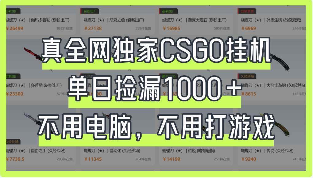 真全网独家CSGO挂机，单日捡漏1000+-宁率网络知识库