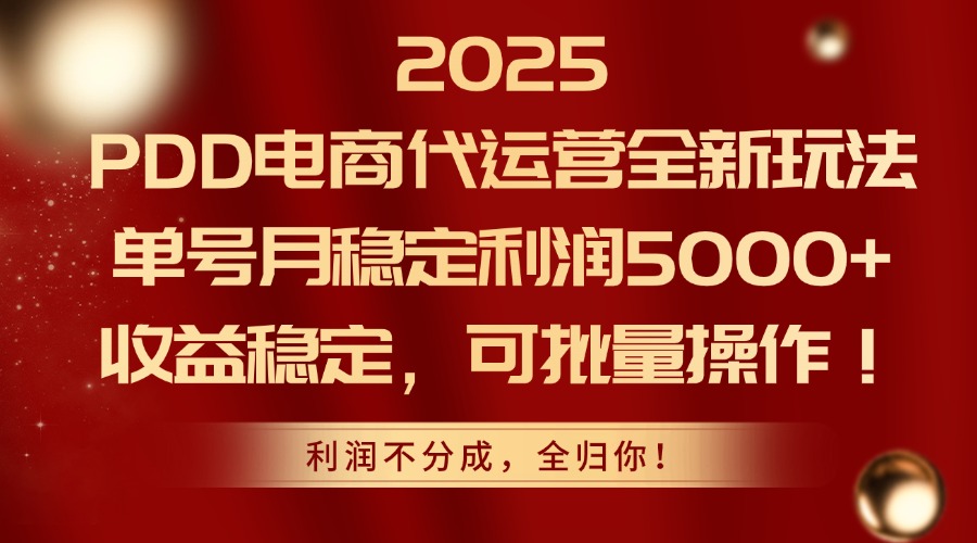 2025 PDD电商代运营全新玩法，单号月稳定利润5000+，收益稳定，可批量操作！-宁率网络知识库