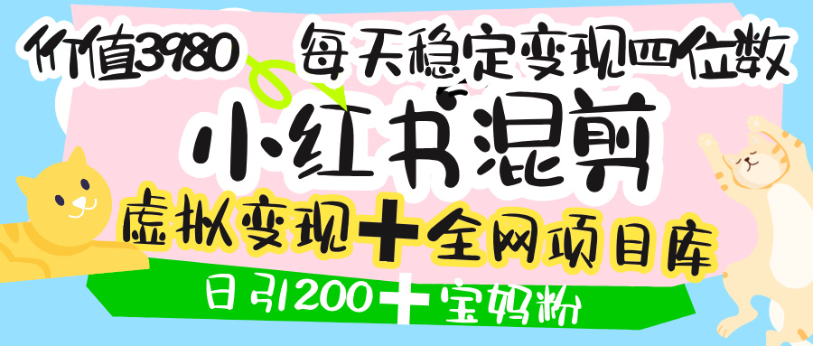 价值3980的小红书混剪， 虚拟变现 ＋全网项目库 ， 日引200+宝妈创业粉，每天稳定四位数变现-宁率网络知识库