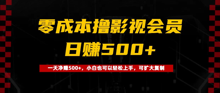 0成本撸影视会员，一天净赚500+，小白也可以轻松上手，可扩大复制-宁率网络知识库